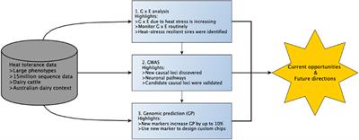 Improving Genomic Selection for Heat Tolerance in Dairy Cattle: Current Opportunities and Future Directions